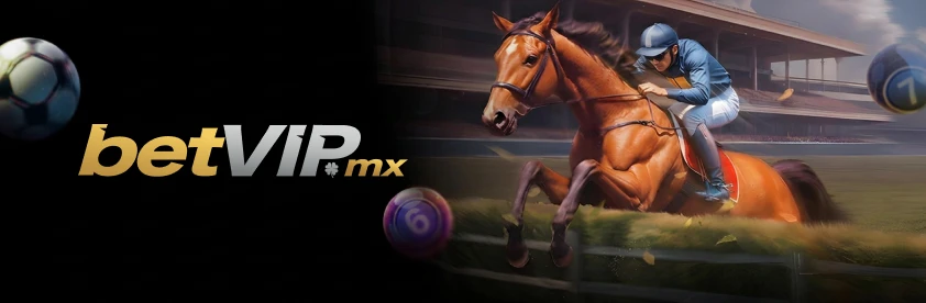 betvip-sport